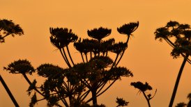 2022 13 en 22 juli 206